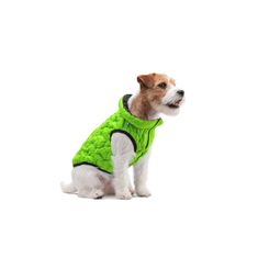 Doggy UNI bunda - ultralehká, oboustranná, FLEXIBILNÍ bunda pro psa, 4 velikosti a 3 barevná provedení, barva světle zelená, XS