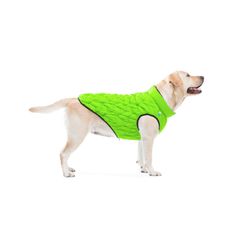 Doggy UNI bunda - ultralehká, oboustranná, FLEXIBILNÍ bunda pro psa, 4 velikosti a 3 barevná provedení, barva světle zelená, XS