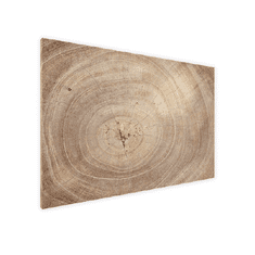 Allboards Kovový obraz dřevěné letokruhy 90 x 60 ALLboards METAL MB96_00021