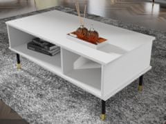 Homlando Konferenční stolek SHERWOOD 110x55 cm frézované matná bílá