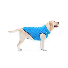 Doggy UNI bunda - ultralehká, oboustranná, FLEXIBILNÍ bunda pro psa, 4 velikosti a 3 barevná provedení, modrá barva, XS