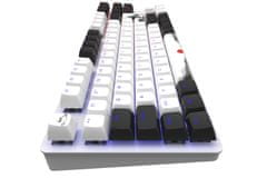 Dark Project klávesnice One - 87 Fuji - G3MS Mech. RGB ISO (DE)