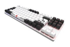 Dark Project klávesnice One - 87 Fuji - G3MS Mech. RGB ISO (DE)