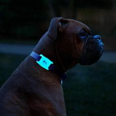 Case-Mate Dog Collar Mount - Pouzdro S Uchycením Na Obojek Pro Apple Airtag (S