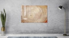 Allboards ,Skleněná magnetická tabule- dekorativní obraz DŘEVO 90x60 cm,TS96_40008