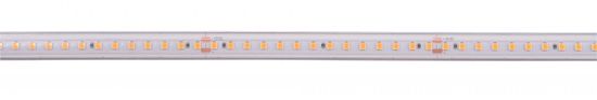 Light Impressions Deko-Light LED pásek, Long Run, SMD, 48V-10W, 2700K, 50m, silikon, konstantní napětí, 48V DC 10 W/m 1090 lm/m 50000 mm 840404
