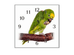 Glasdekor Nástěnné hodiny 30x30cm papoušek amazoňan - Materiál: plexi