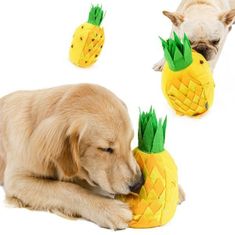 BiBi Doglemi Pet Products Ltd Ananas čichová hračka