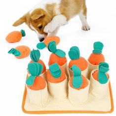 BiBi Doglemi Pet Products Ltd Mrkvová zahrádka čichová hračka