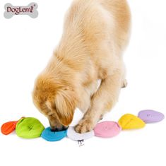 BiBi Doglemi Pet Products Ltd Lentilky no jasně