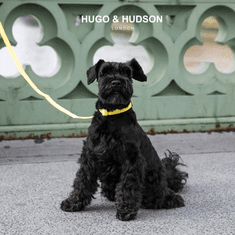 HUGO & HUDSON 3D žlutý obojek Velikost: XS