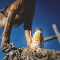 BiBi SmoothieDog Imunita - hovězí smoothie pro psy
