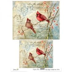 Aladine Rýžový papír, A4 - Ptáčci v zimě, kardinál