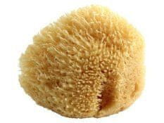 Přírodní mořská houba POUPY