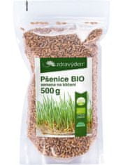 Zdravý den Pšenice BIO – semena na klíčení 500g
