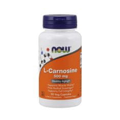 NOW Foods Doplňky stravy L-carnosine