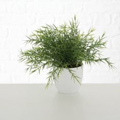 Boltze Umělá rostlina v bílem květináči, Ø 15 cm barva bílá