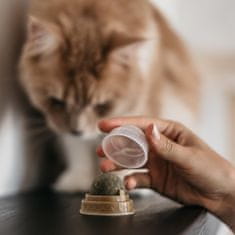 Akinu Akinu hračka pro kočky nalepovací kulička se šantou
