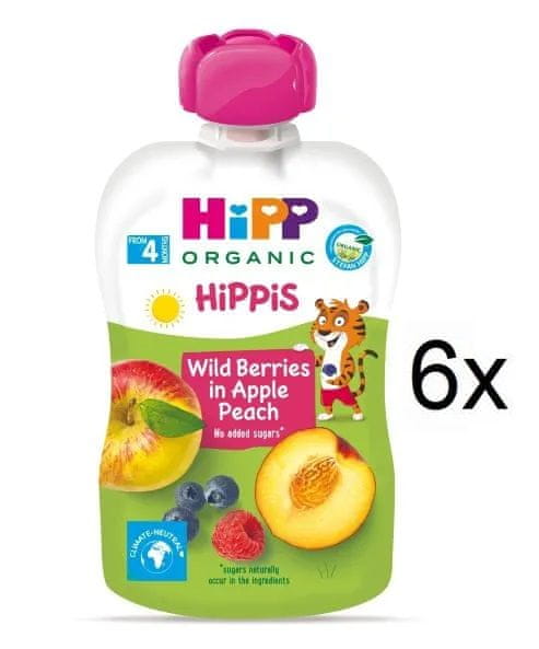Levně HiPP BIO 100% ovoce Jablko-Broskev-Lesní ovoce 6 x 100 g
