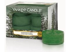 Yankee Candle čaj.sv.12ks Evergreen Mist 8 g