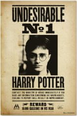 CurePink Plakát Harry Potter: Nežádoucí No.1 (61 x 91,5 cm) 150 g