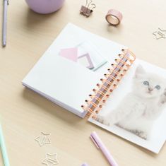 CurePink Plánovací denní školní diář 2023/2024 Cats/Kočky se samolepkami, záložkami a obálkou (14 x 16 cm)