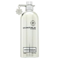 Montale Paris Embruns d'Essaouira parfémovaná voda unisex 100 ml