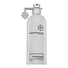 Montale Paris Fougeres Marines parfémovaná voda unisex 100 ml