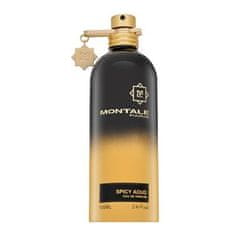Montale Paris Spicy Aoud parfémovaná voda unisex 100 ml