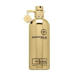 Montale Paris Attar parfémovaná voda unisex 100 ml