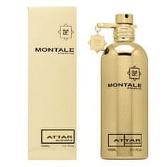 Montale Paris Attar parfémovaná voda unisex 100 ml