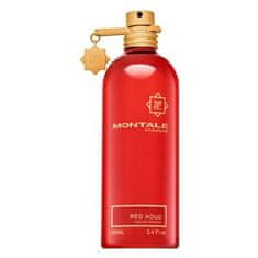 Montale Paris Red Aoud parfémovaná voda unisex 100 ml
