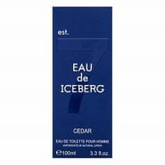 Iceberg Eau de Iceberg Cedar toaletní voda pro muže 100 ml