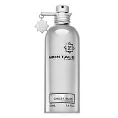 Montale Paris Ginger Musk parfémovaná voda unisex 100 ml