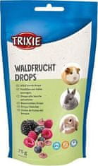 Trixie WILD BERRY drops, pamlsek pro hlodavce s lesními plody, 75 g