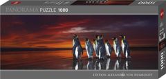 Heye Panoramatické puzzle Tučňáci královští 1000 dílků
