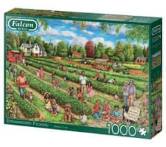 Falcon Puzzle Sběr jahod 1000 dílků