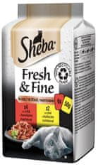 Sheba Fresh & Fine kapsičky pro kočky exkluzivní výběr ve šťávě 72x50 g