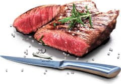 Alpina Steakový nůž v dřevěné krabičce sada 4 ksED-247384