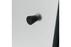 WellMall ALFA LINE COMBI Black 100x80 Grape Sprchový kout s pevnou stěnou v rovině (65+40)