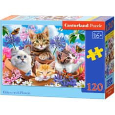 WOWO Puzzle CASTORLAND Koťátka s květinami - Skládačka 120 dílků pro děti 6+ let