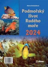 Alena Doležalová: Kalendář 2024 Podmořský život Rudého moře - nástěnný