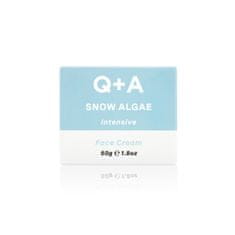 Q+A Snow Algae