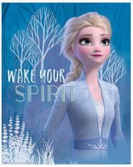 CurePink Plakát Frozen II|Ledové království II: Wake Your Spirit Elsa (40 x 50 cm)