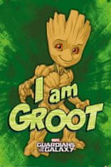 CurePink Plakát Guardians Of The Galaxy|Strážci galaxie: Já jsem Groot (61 x 91,5 cm)