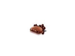 sarcia.eu MATILDE VICENZI Grisbi Cioccolato - italské piškoty s tekutou čokoládovou náplní 250g 1 BALIK