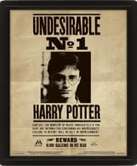 CurePink Proměňovací 3D obrázek Harry Potter v rámečku: Harry & Sirius - 3D plakát (25,4 x 20 cm)
