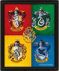 CurePink Proměňovací 3D obrázek Harry Potter: Barevný znak (26 x 20 cm)