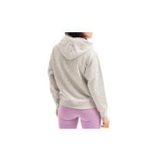 Champion Mikina šedá 173 - 177 cm/L Hooded Sweatshirt