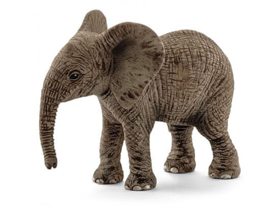 sarcia.eu Schleich Wild Life - Mladý slon africký, figurka pro děti 3+